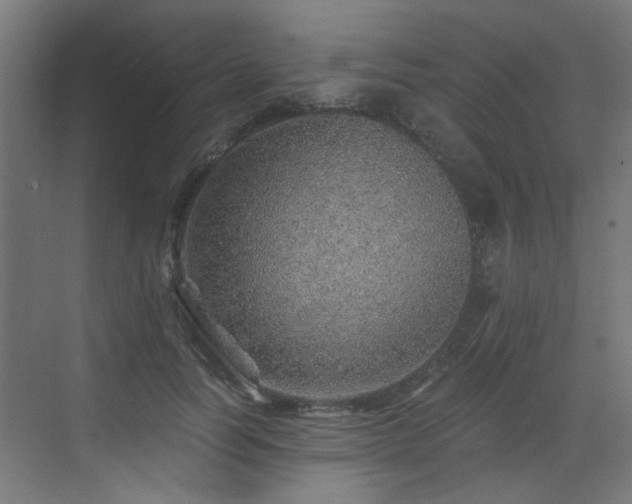 X0000072980746200607211249