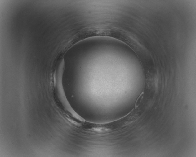 X0000072980748200607211249