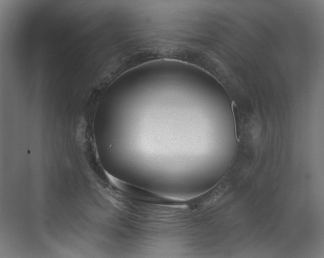 X0000072980750200607211249