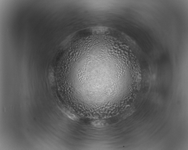 X0000072980761200607211249