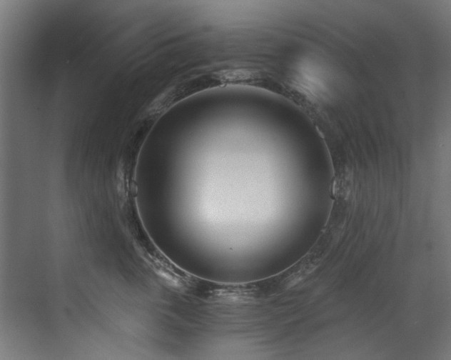 X0000072980763200607211249