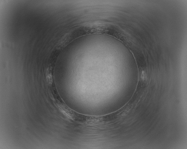X0000072980771200607211248
