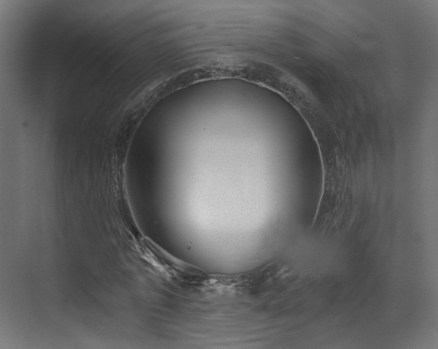 X0000072980773200607211248