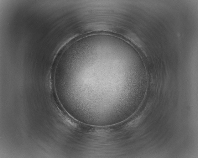 X0000072980782200607211248