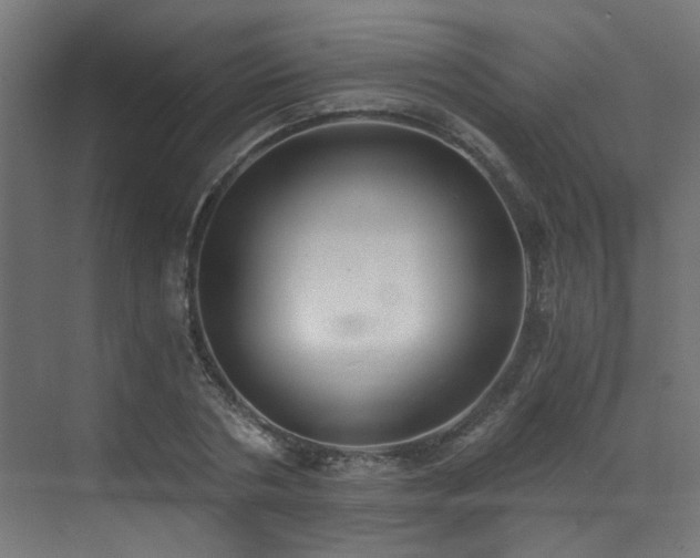 X0000072980786200607211248
