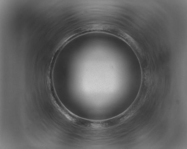 X0000072980794200607211248