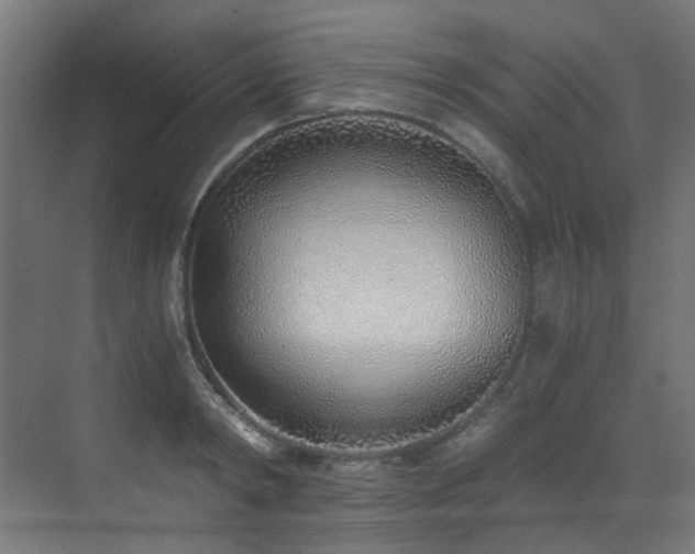 X0000072980798200607211248