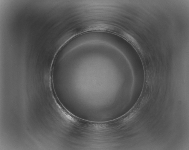 X0000072980802200607211248