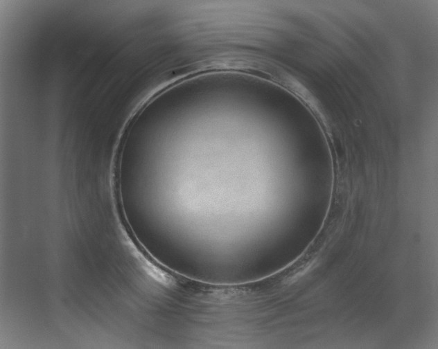 X0000072980803200607211248