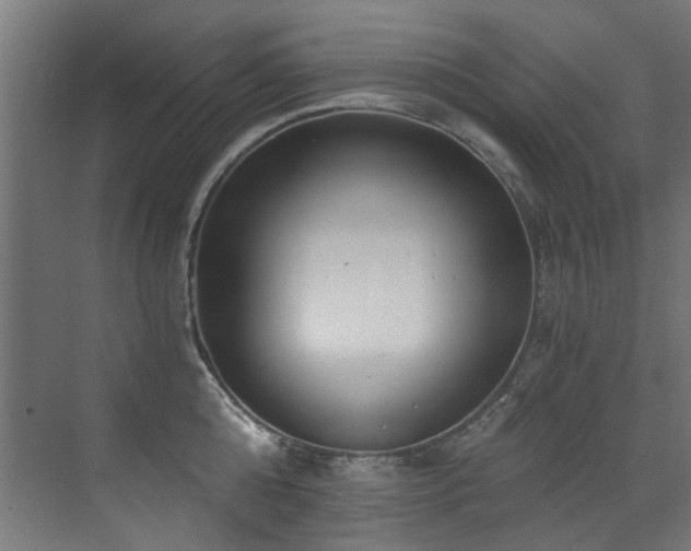 X0000072980808200607211248