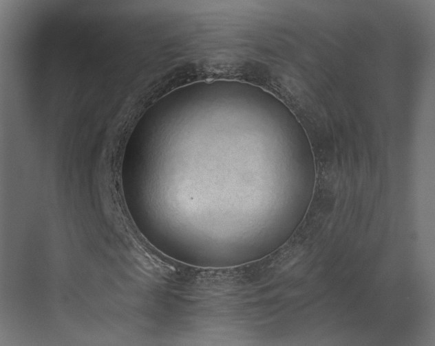 X0000072980817200607211247