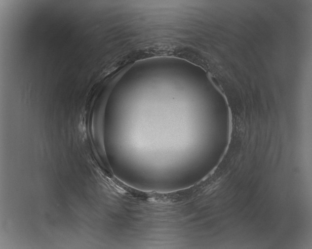 X0000072980818200607211247