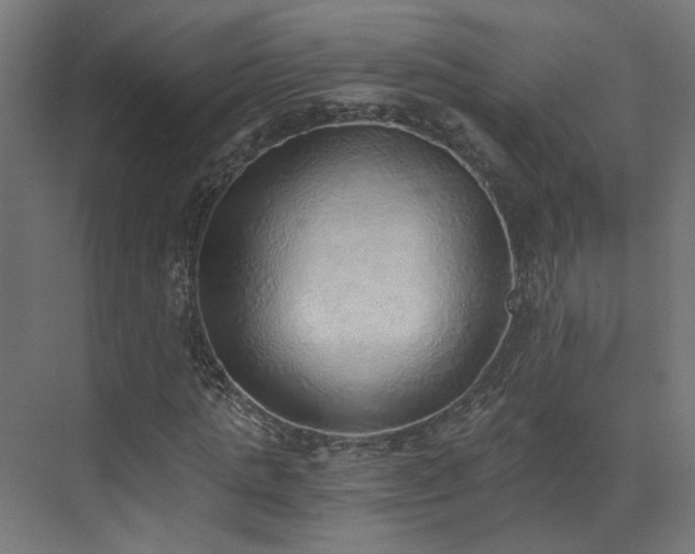 X0000072980821200607211247