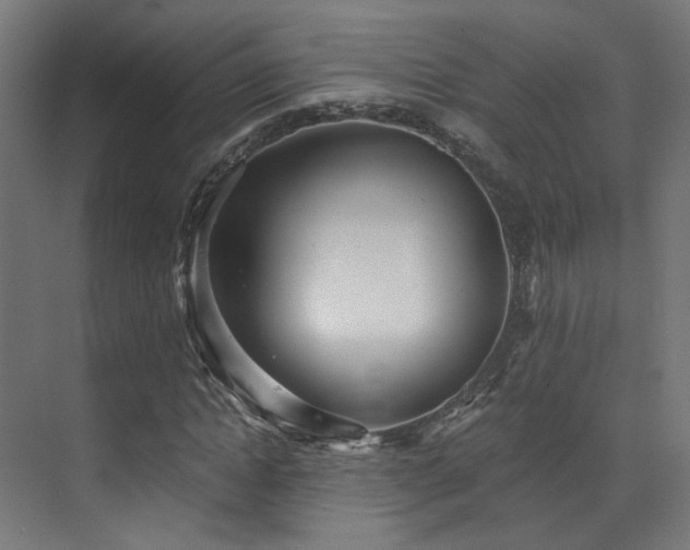 X0000072980822200607211247