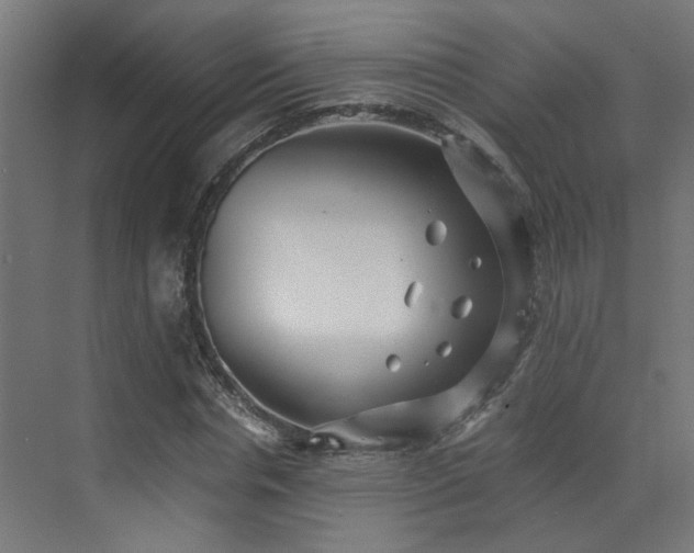 X0000072980826200607211247