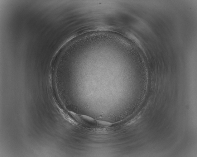 X0000072980827200607211247