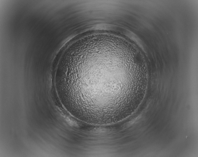 X0000072980829200607211247