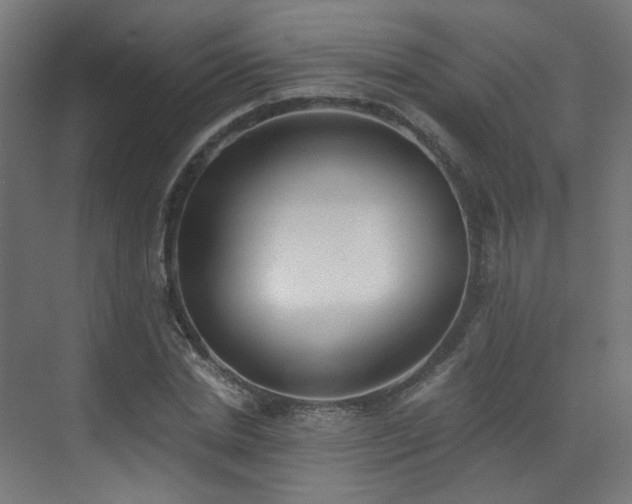 X0000072980830200607211247