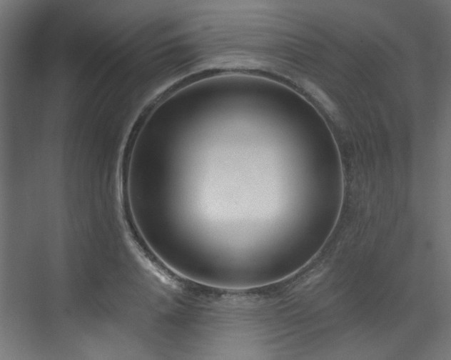 X0000072980840200607211247
