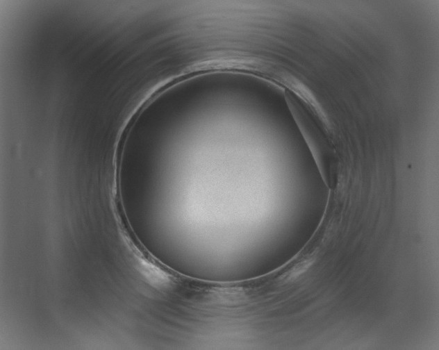 X0000072980844200607211247