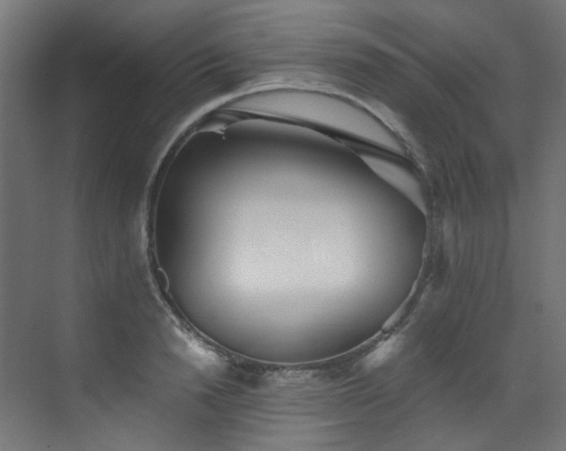 X0000072980846200607211247