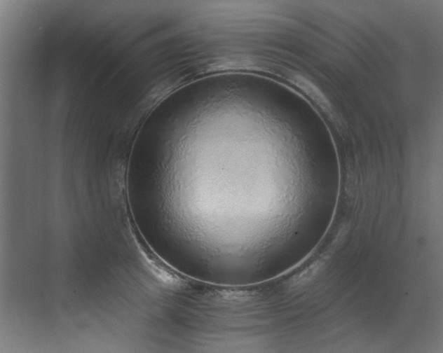 X0000072980849200607211247