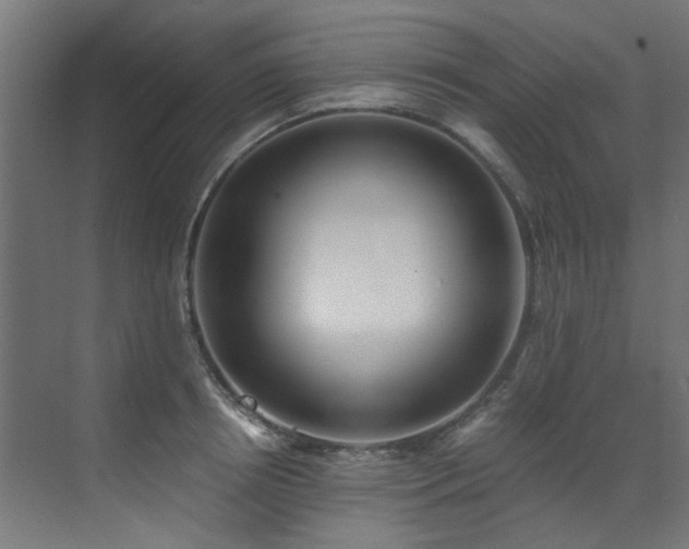 X0000072980850200607211247