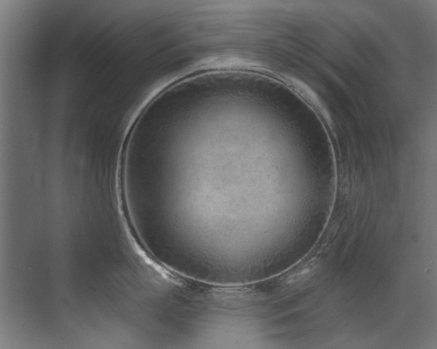 X0000072980863200607211247