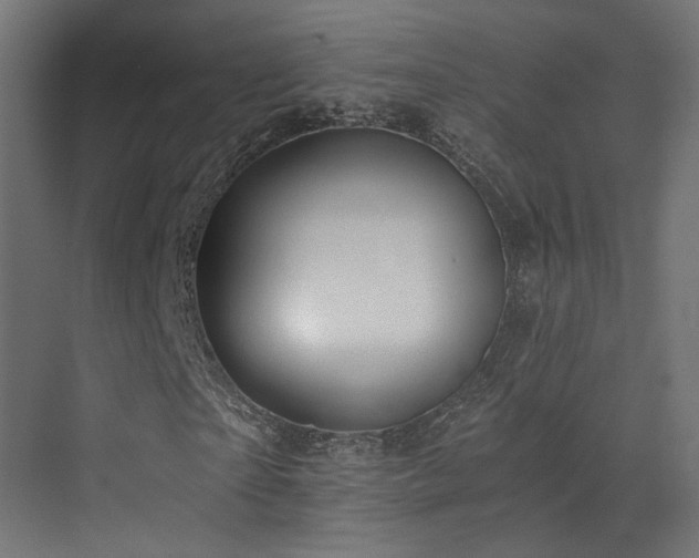 X0000072980865200607211247