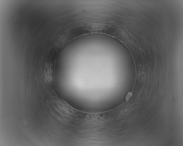 X0000072980866200607211247