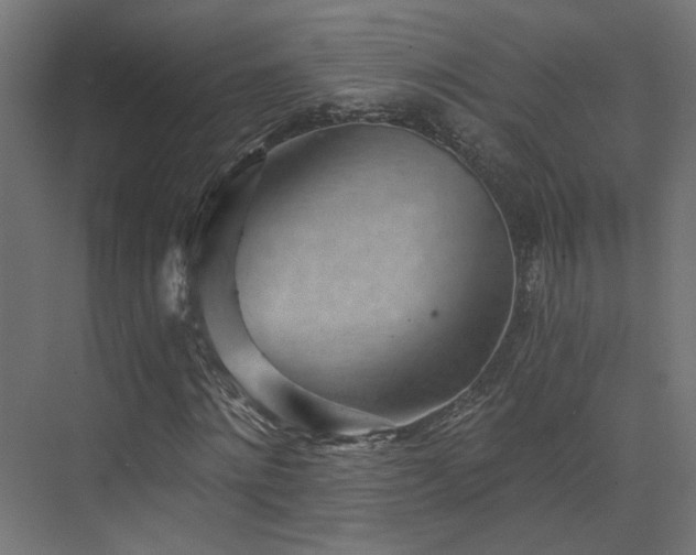 X0000072980868200607211247