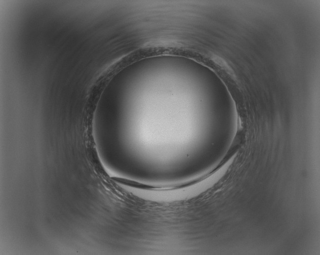 X0000072980872200607211247