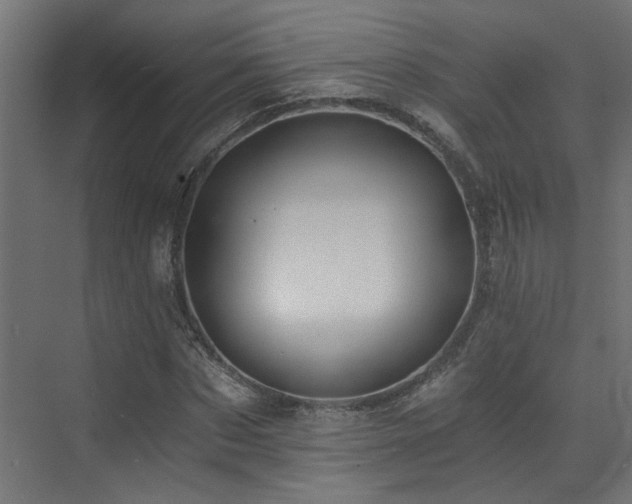 X0000072980873200607211247
