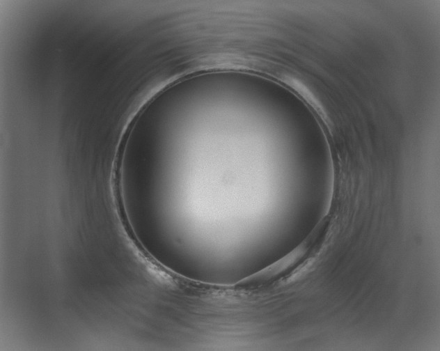 X0000072980901200607211246