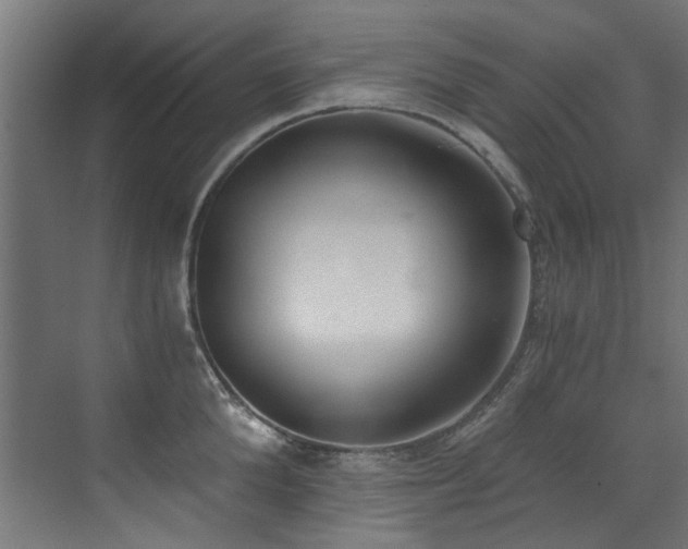 X0000072980904200607211246