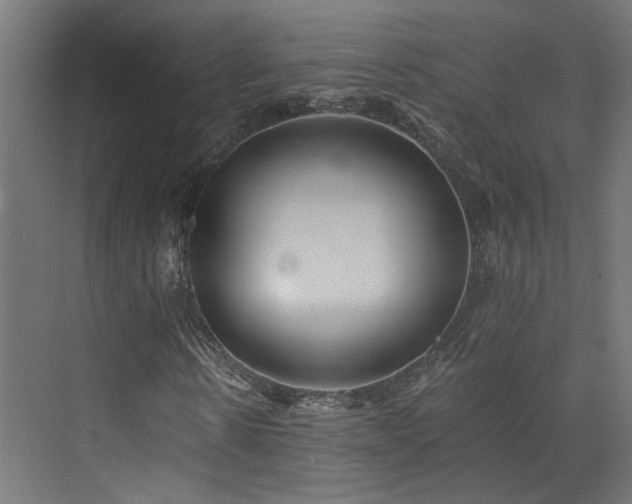X0000072980914200607211245