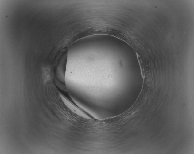 X0000072980916200607211245