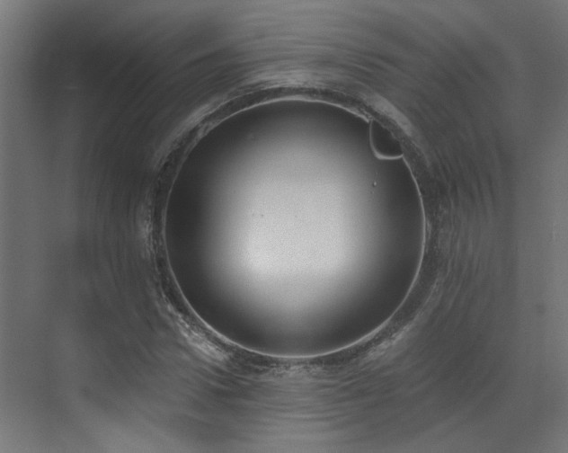 X0000072980922200607211245