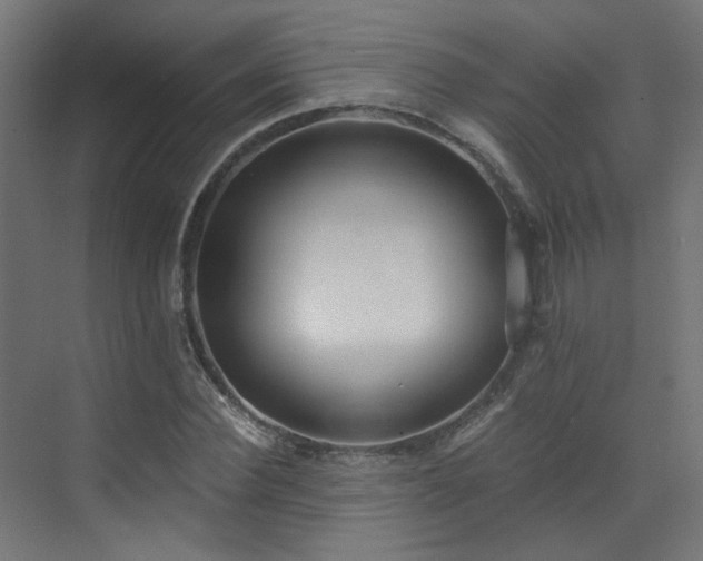 X0000072980924200607211245