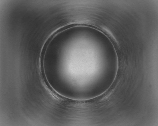X0000072980932200607211245