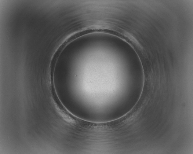 X0000072980934200607211245