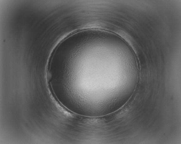 X0000072980949200607211246