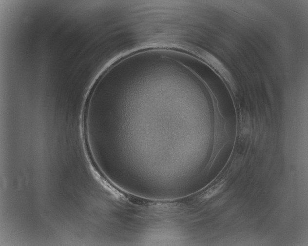 X0000072980958200607211246