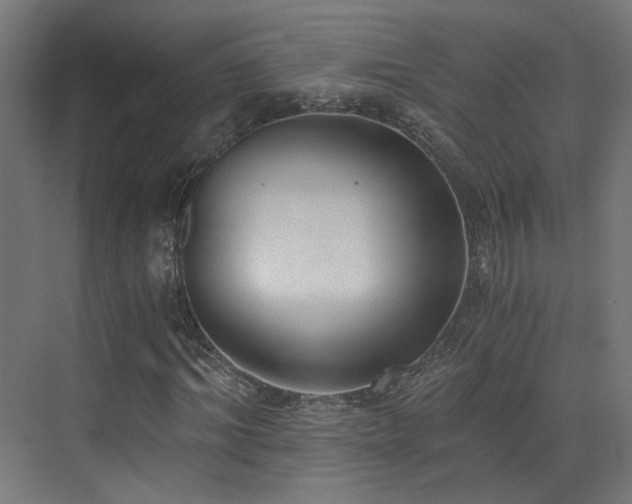 X0000072980964200607211245