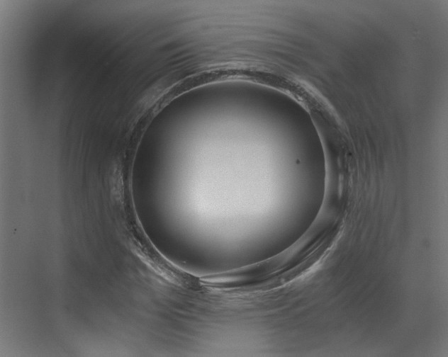 X0000072980969200607211245