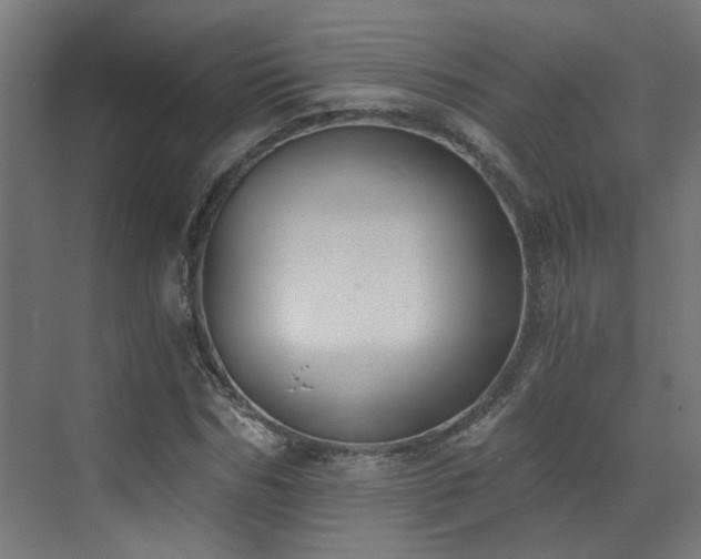 X0000072980970200607211245