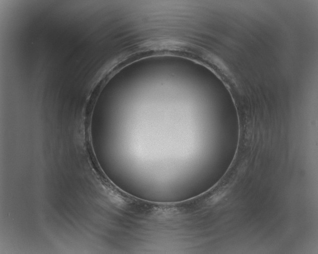 X0000072980978200607211245