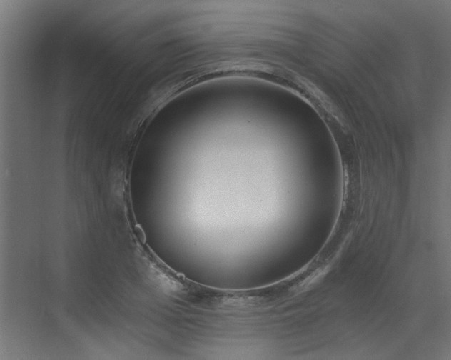 X0000072980985200607211245