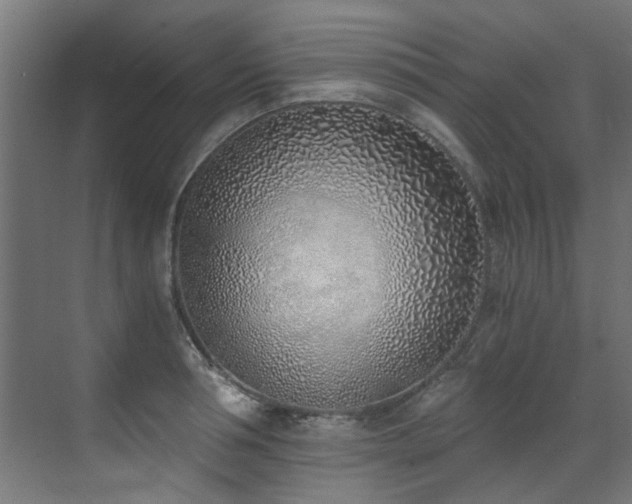 X0000072980994200607211244