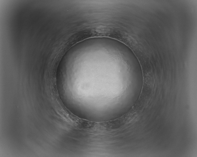 X0000072981009200607211243